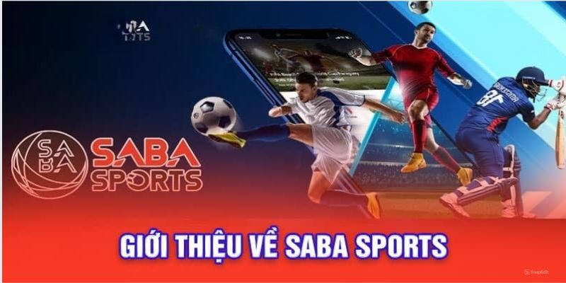 Vài nét tổng quan về saba sports Sunwin